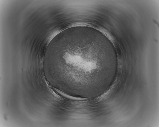 X0000097290953200802151412
