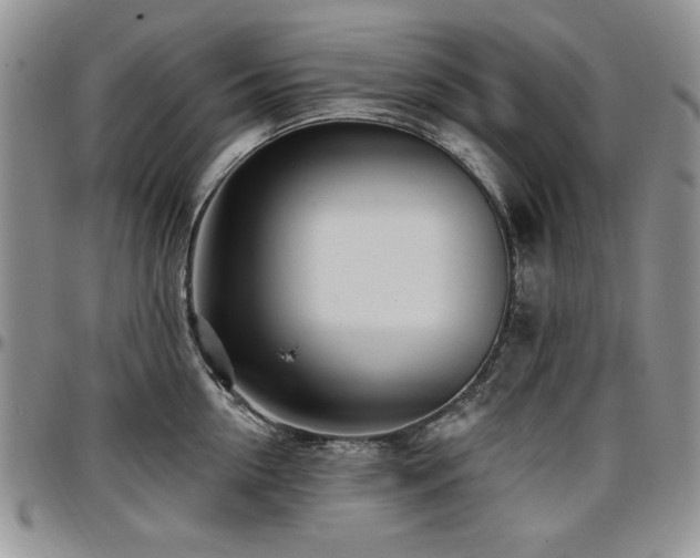 X0000097290954200802151412