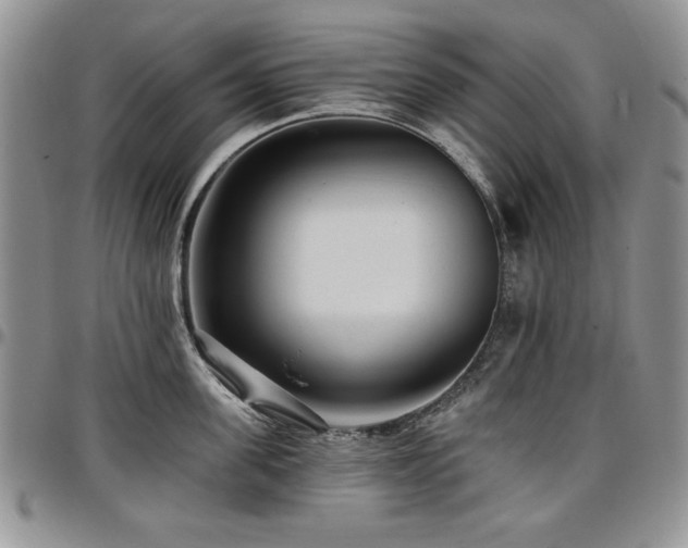 X0000097290955200802151412