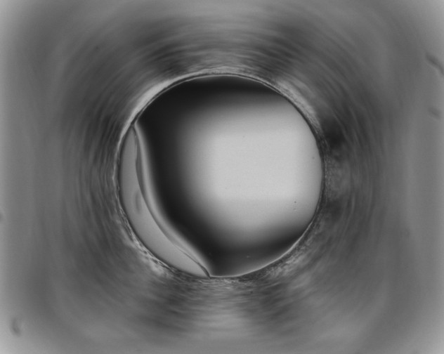 X0000097290956200802151412