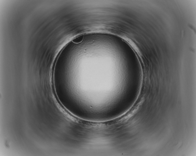 X0000097290957200802151412