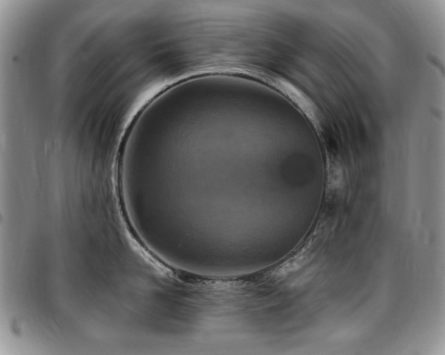 X0000097290958200802151412