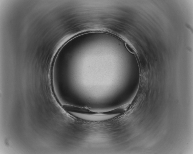 X0000097290959200802151412