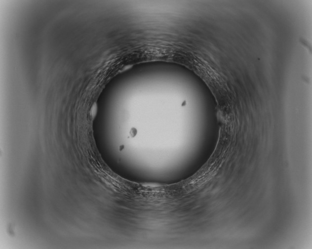 X0000097290961200802151411