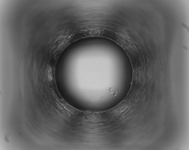 X0000097290962200802151411