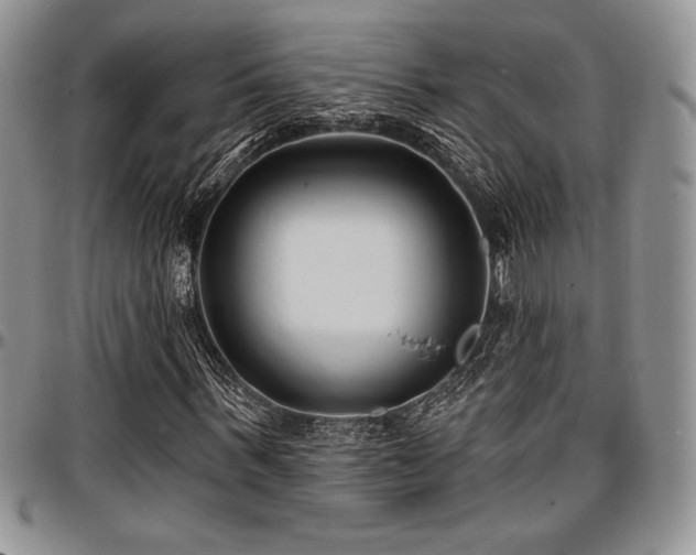 X0000097290963200802151411