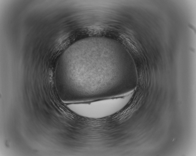 X0000097290964200802151411