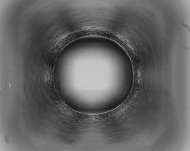 X0000097290966200802151411