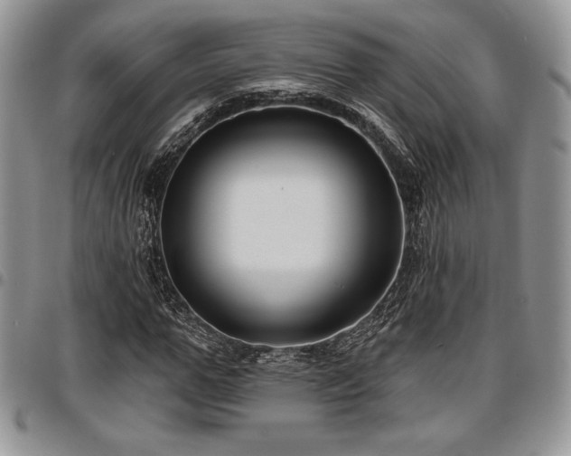 X0000097290967200802151411