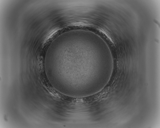 X0000097290968200802151411