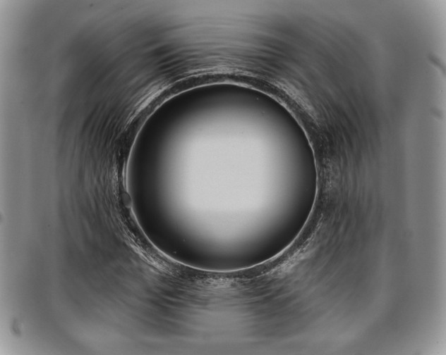 X0000097290969200802151411