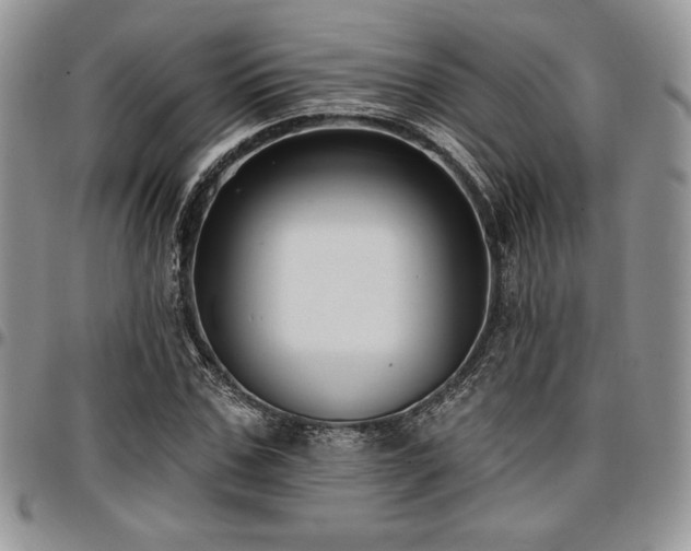 X0000097290971200802151411