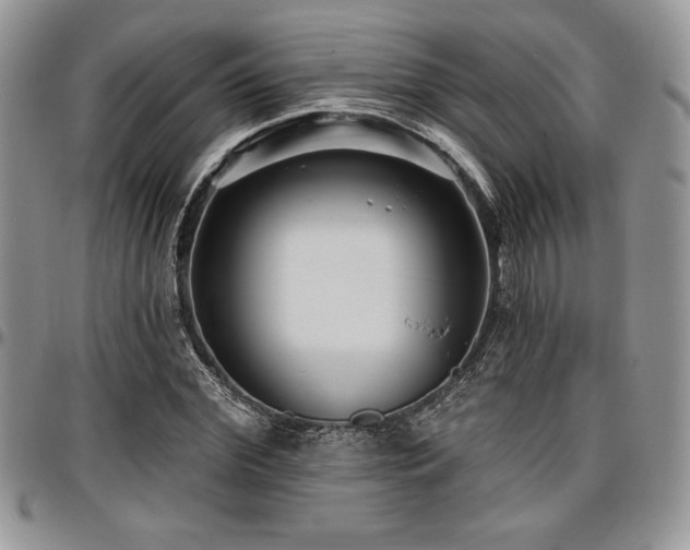 X0000097290972200802151411
