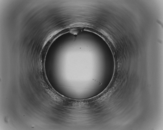 X0000097290973200802151411