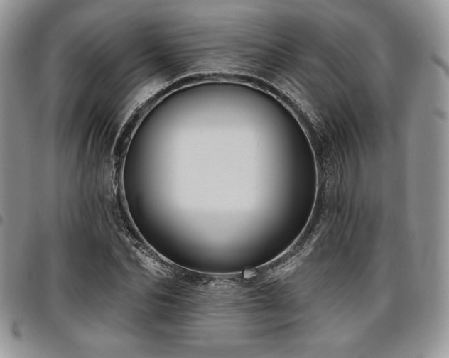 X0000097290974200802151411