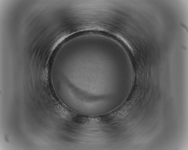 X0000097290975200802151411