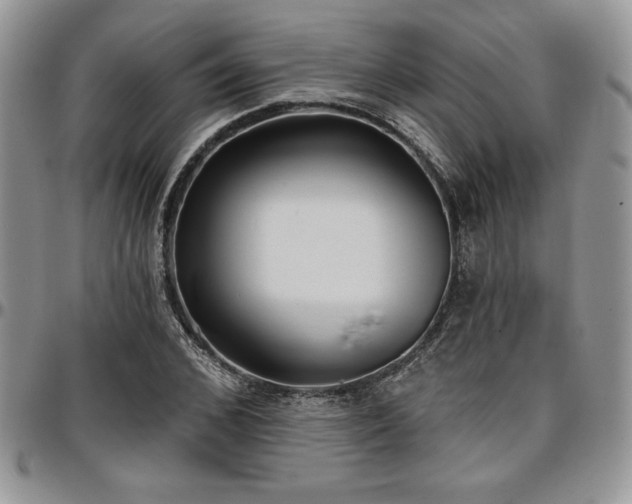X0000097290976200802151411