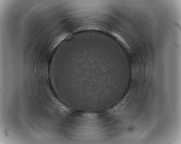 X0000097290977200802151411