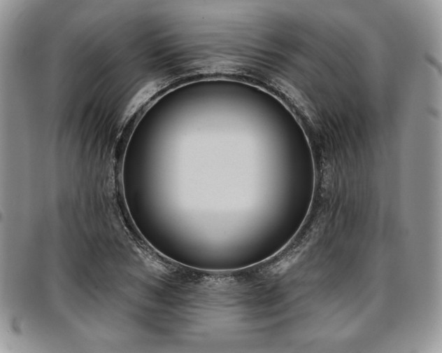 X0000097290978200802151411