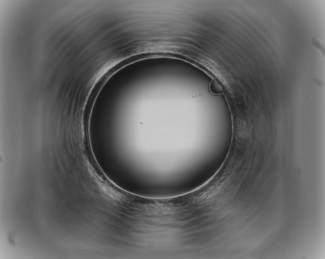 X0000097290980200802151411