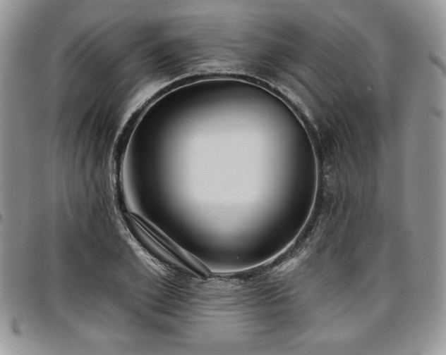 X0000097290981200802151411