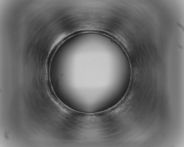 X0000097290982200802151411