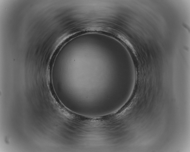 X0000097290984200802151411
