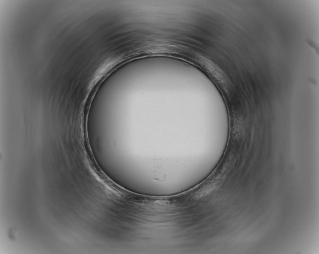 X0000097290986200802151410