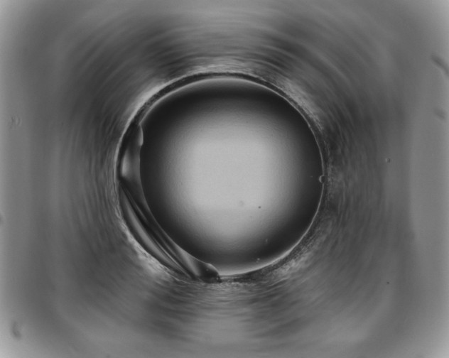 X0000097290988200802151410