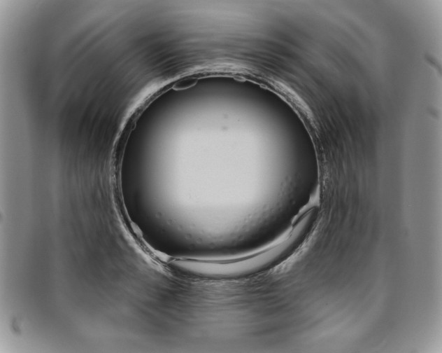 X0000097290989200802151410