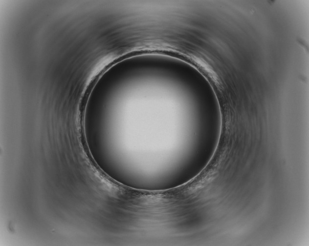 X0000097290990200802151410