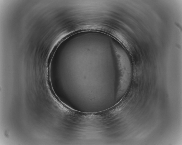 X0000097290992200802151410