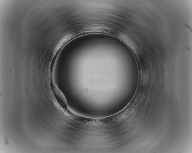 X0000097290994200802151410