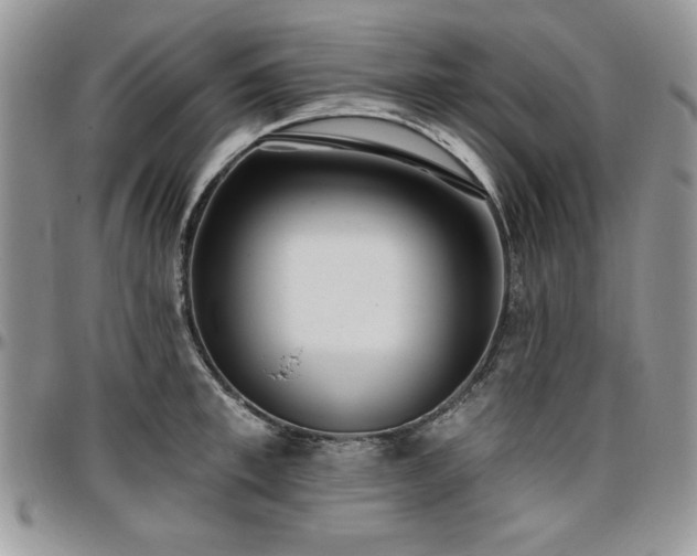 X0000097290997200802151410