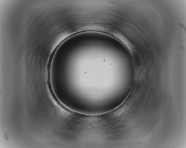 X0000097290999200802151410