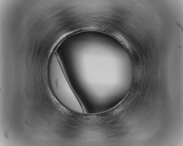 X0000097291000200802151410