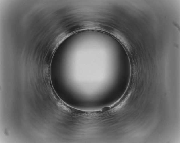 X0000097291001200802151410