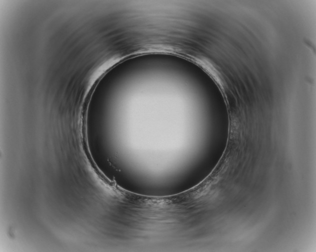 X0000097291003200802151410