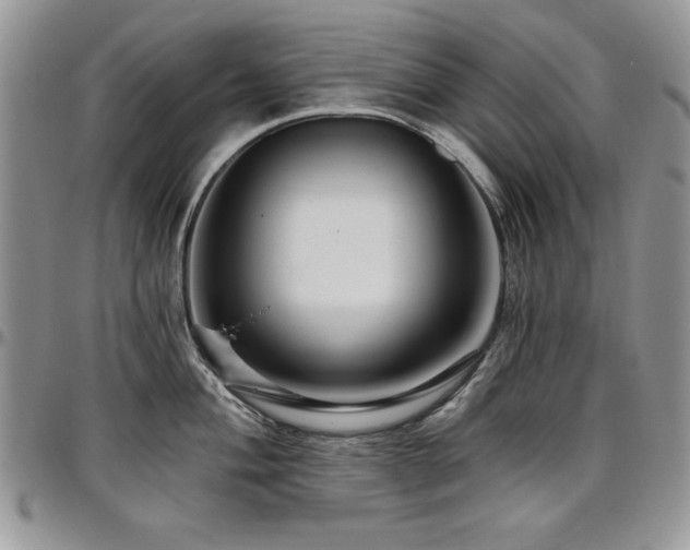 X0000097291004200802151410