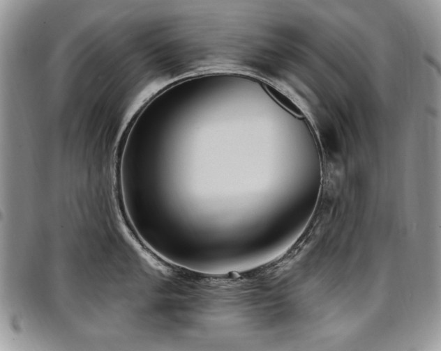 X0000097291005200802151410