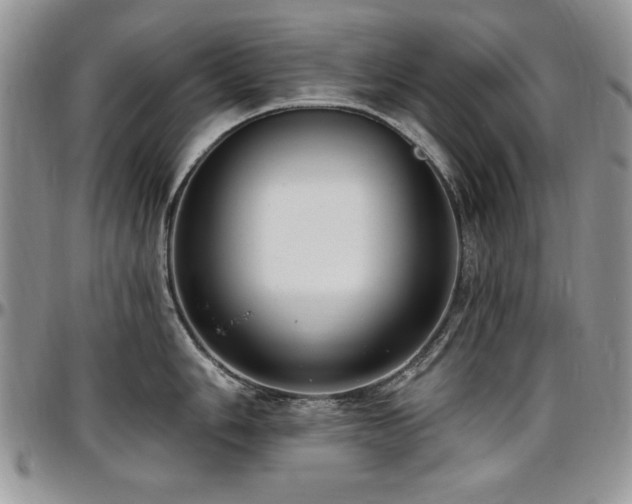X0000097291006200802151410