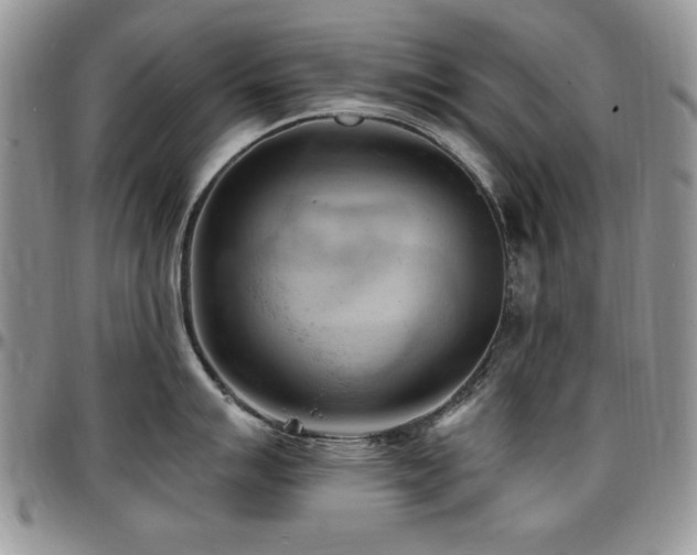 X0000097291007200802151410