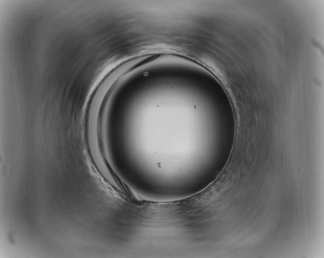 X0000097291008200802151410