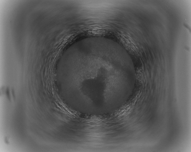 X0000097291009200802151410