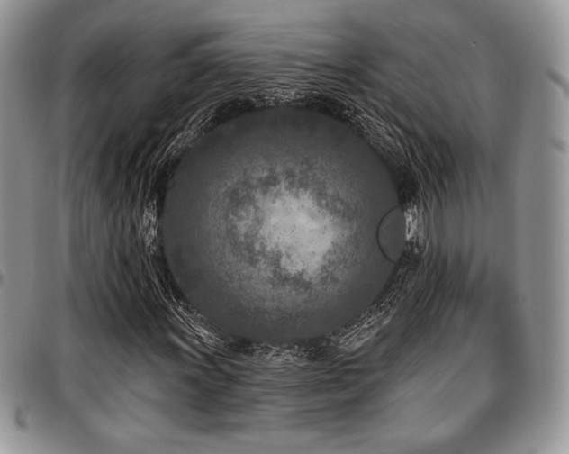 X0000097291011200802151410
