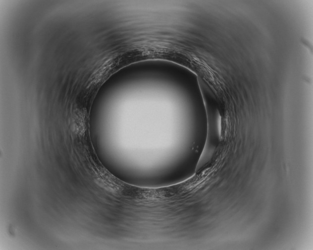 X0000097291012200802151410