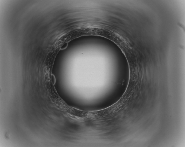 X0000097291013200802151410