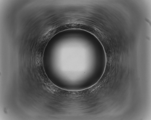 X0000097291014200802151410