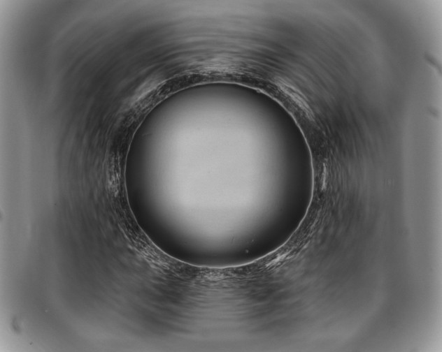 X0000097291015200802151410