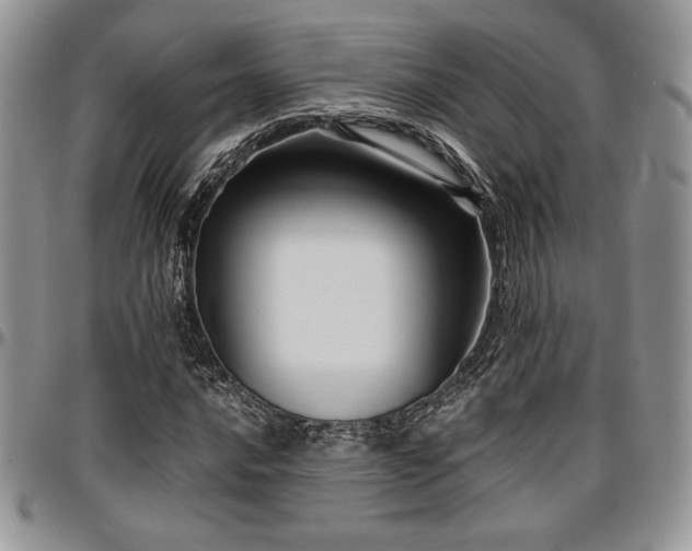 X0000097291016200802151410